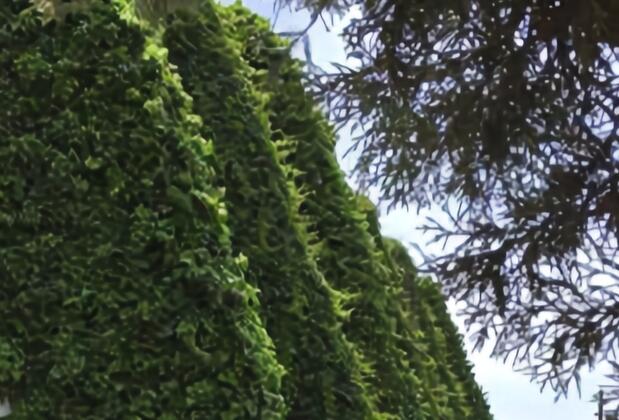 Hotel Nova Apart - Görsel 5