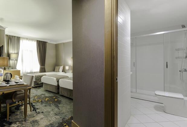 Villa Zurich Hotel - Görsel 21