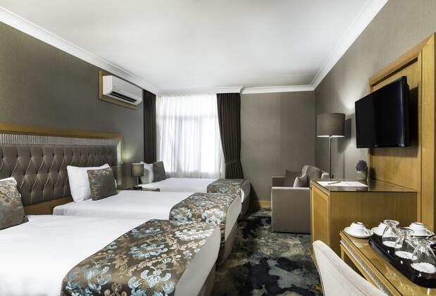 Villa Zurich Hotel - Görsel 22