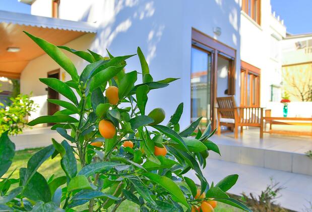 EV Villas - Görsel 23