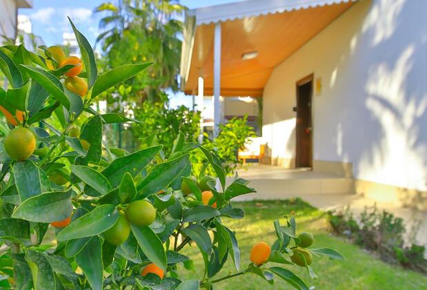 EV Villas - Görsel 31