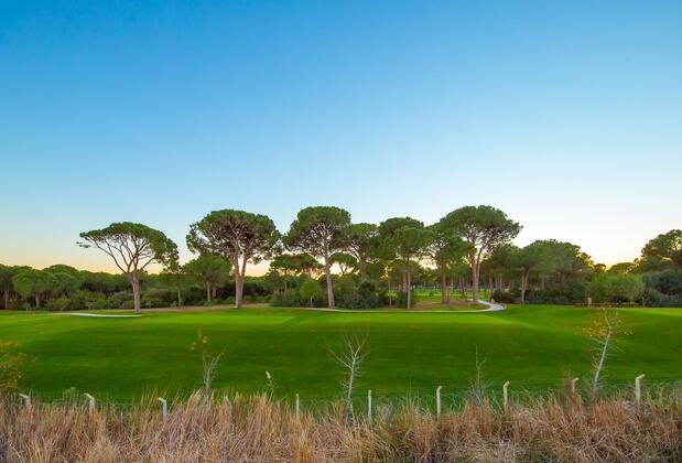 EV Villas - Görsel 29