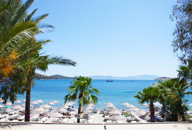 Toloman Hotel & Apartments - Görsel 6