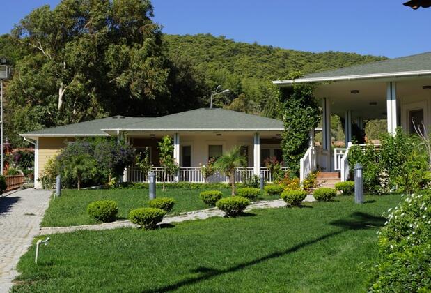 Padok Premium Hotel and Stables - Görsel 3