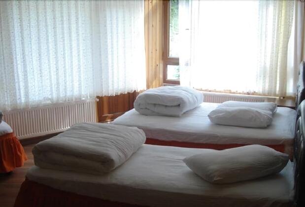 Ayder Yeşil Vadi Otel - Görsel 6