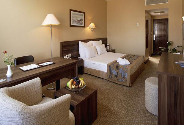 Plaza Hotel Diyarbakır - Görsel 6