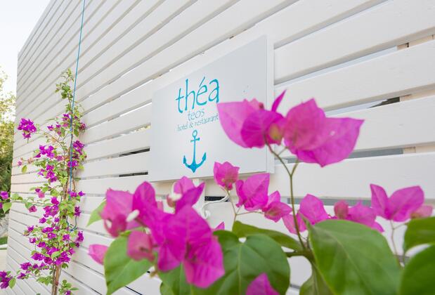 Thea Teos Butik Hotel - Görsel 3