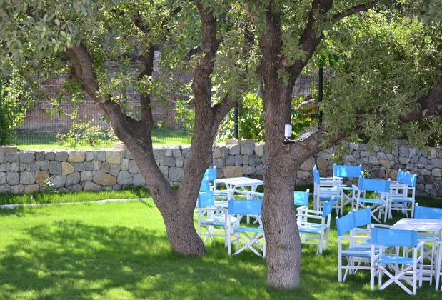 Thea Teos Butik Hotel - Görsel 9