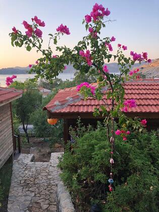 Palmira Bungalow & Camping - Görsel 3