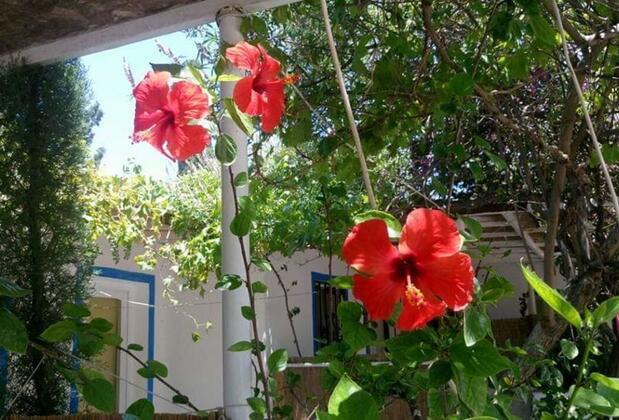 Poyraz Apart Motel Bitez - Görsel 25