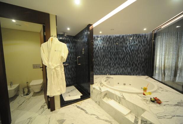 Pullman İstanbul Airport Hotel & Convention Center - Görsel 19