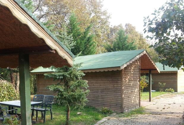 Green House Garden Park - Görsel 12