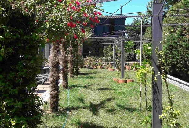 Green House Garden Park - Görsel 20