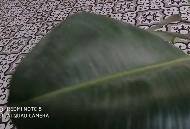 Artvin Apart Otel - Görsel 13