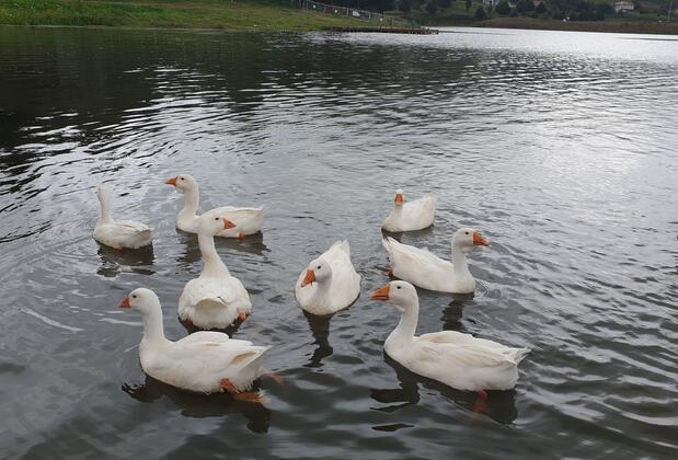 Yıldız Tepe Otel & Pansiyon - Görsel 7