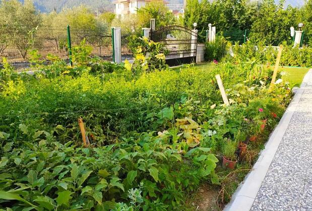 Kaya Apart Ortaca - Görsel 5