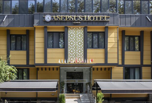 Asepsus Hotel - Görsel 10