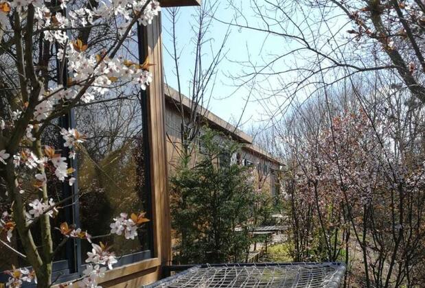 Pamera Garden - Görsel 6