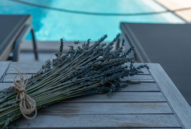 Anıt Konak - Görsel 31