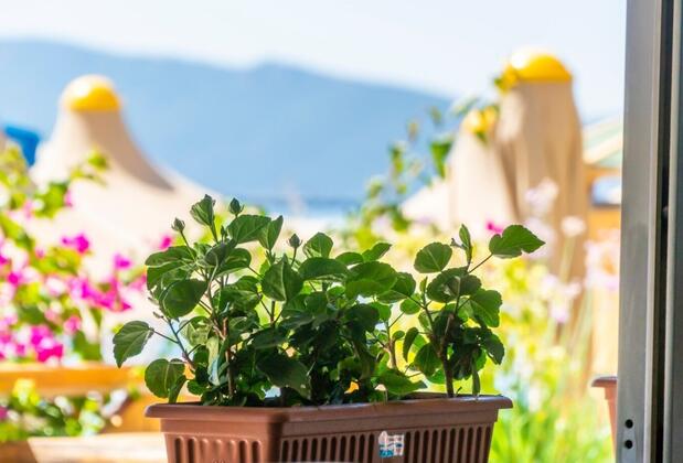 Mucho Butik Otel - Görsel 44