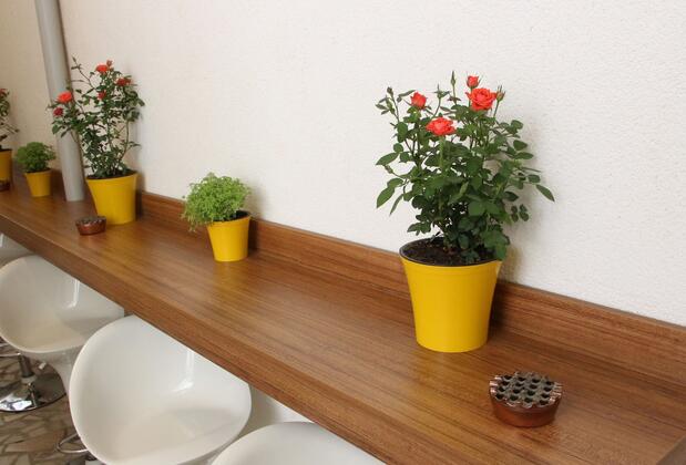 Can Pansiyon Apart - Görsel 4