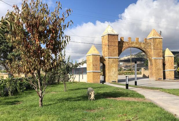 Green Garden House Otel - Görsel 12