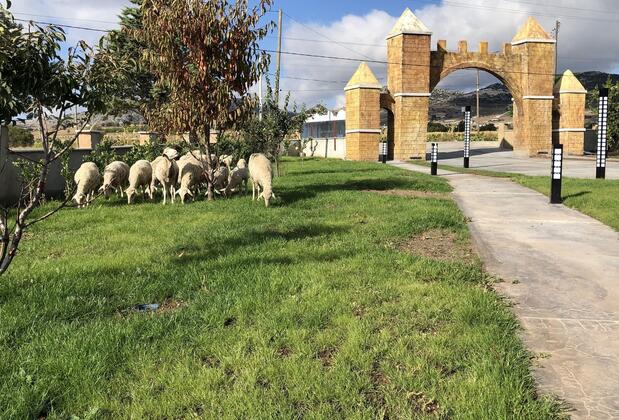 Green Garden House Otel - Görsel 21