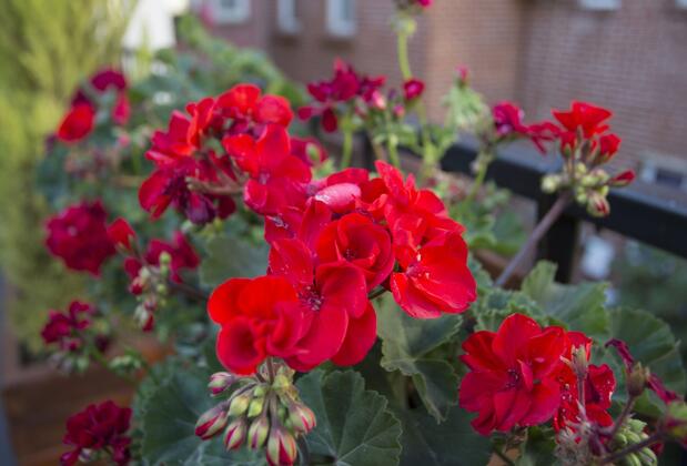 Long Stay İstanbul - Görsel 8