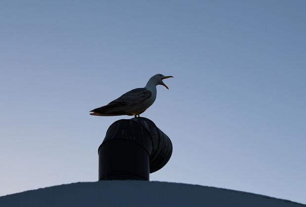 Orient Hostel - Görsel 43