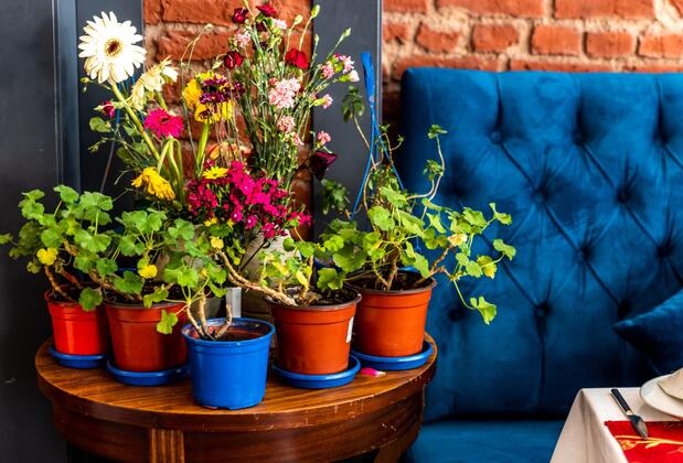 Viva Deluxe Hotel - Görsel 5