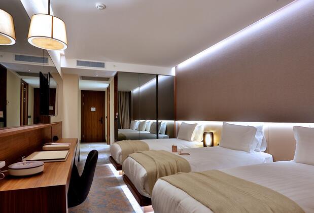 Dosso Dossi Hotels Downtown - Görsel 17