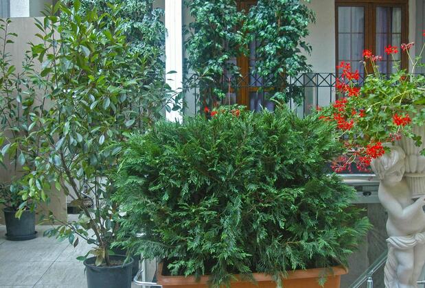 East Suite Hotel - Görsel 7