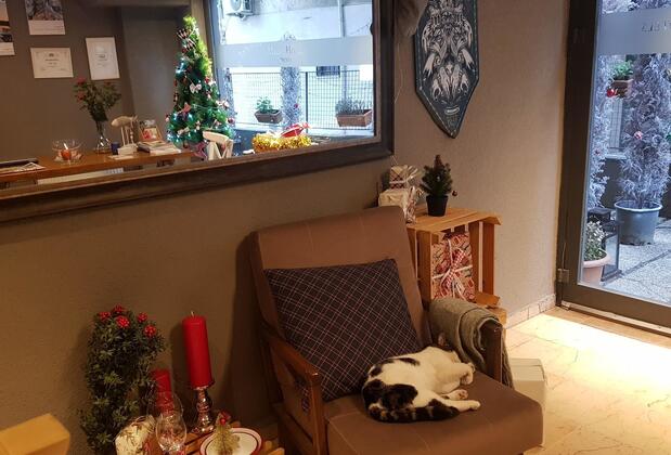 Melek Hotels Moda - Görsel 4