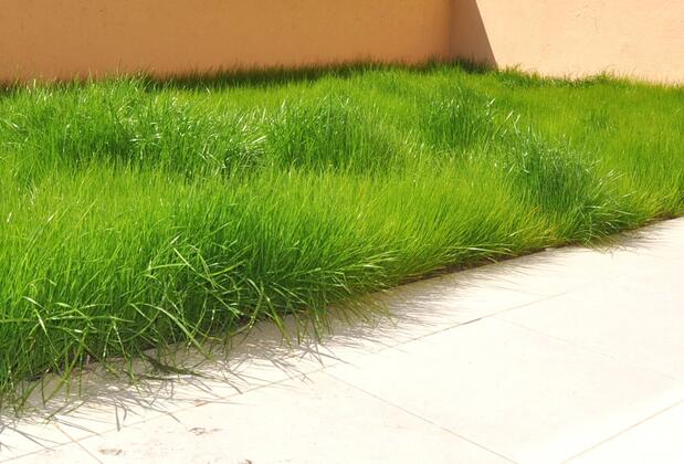 Overland Residence - Görsel 24