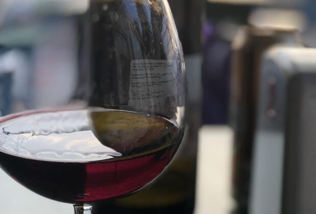 Zirkon Beach Camping - Görsel 25