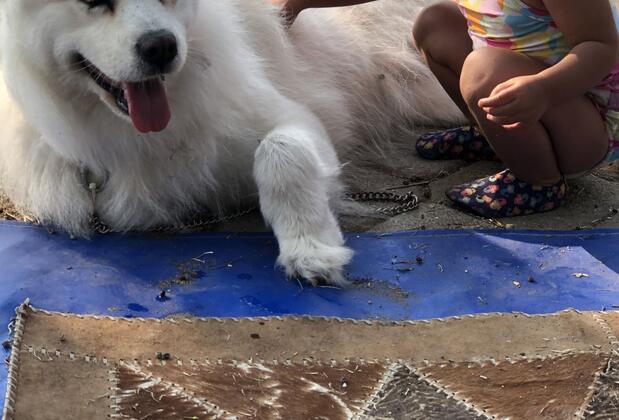 Zirkon Beach Camping - Görsel 41