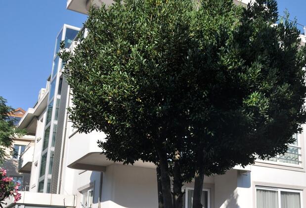 Island Otel Dragos - Görsel 2