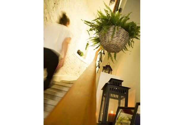 Magnova Studios - Görsel 19