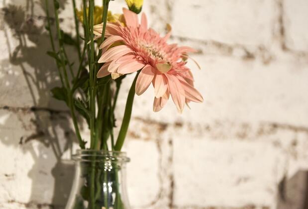 Magnova Studios - Görsel 31