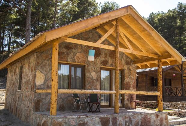 Babakamp Eco Ranch & Retreat - Görsel 3