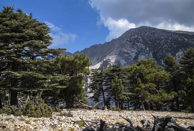 Babakamp Eco Ranch & Retreat - Görsel 10