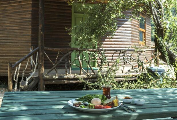 Babakamp Eco Ranch & Retreat - Görsel 11