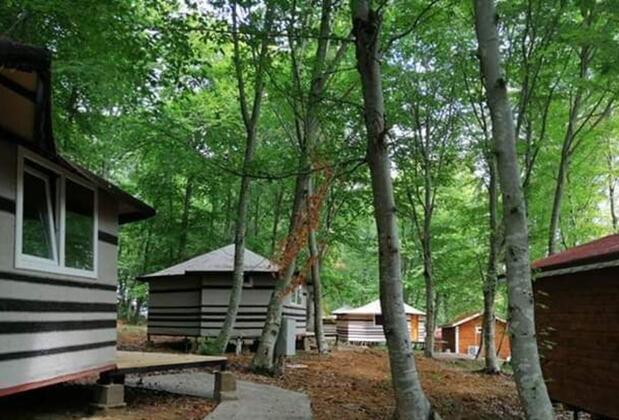 Yıldız Country Hotel - Görsel 3