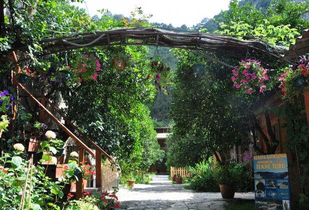 Türkmen Ağaç Evleri - Görsel 22