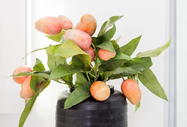 Lavanta Hotel - Görsel 8