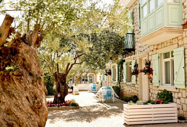 Zeytin Arası Taş Evler Apart Hotel - Görsel 14