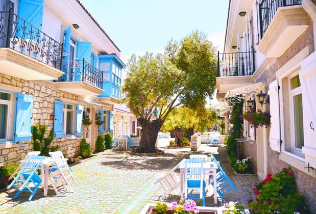 Zeytin Arası Taş Evler Apart Hotel - Görsel 5