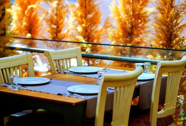 Palace Hotel Olive Odore - Görsel 9