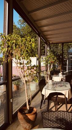 Arp Dalyan - Görsel 5