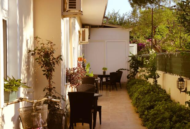 Arp Dalyan - Görsel 4